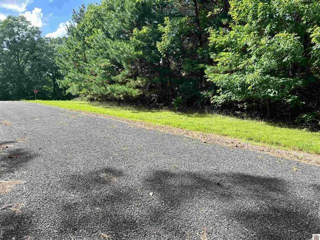 Unit 2 Lot 96 Briarfield Road Murray KY 42071