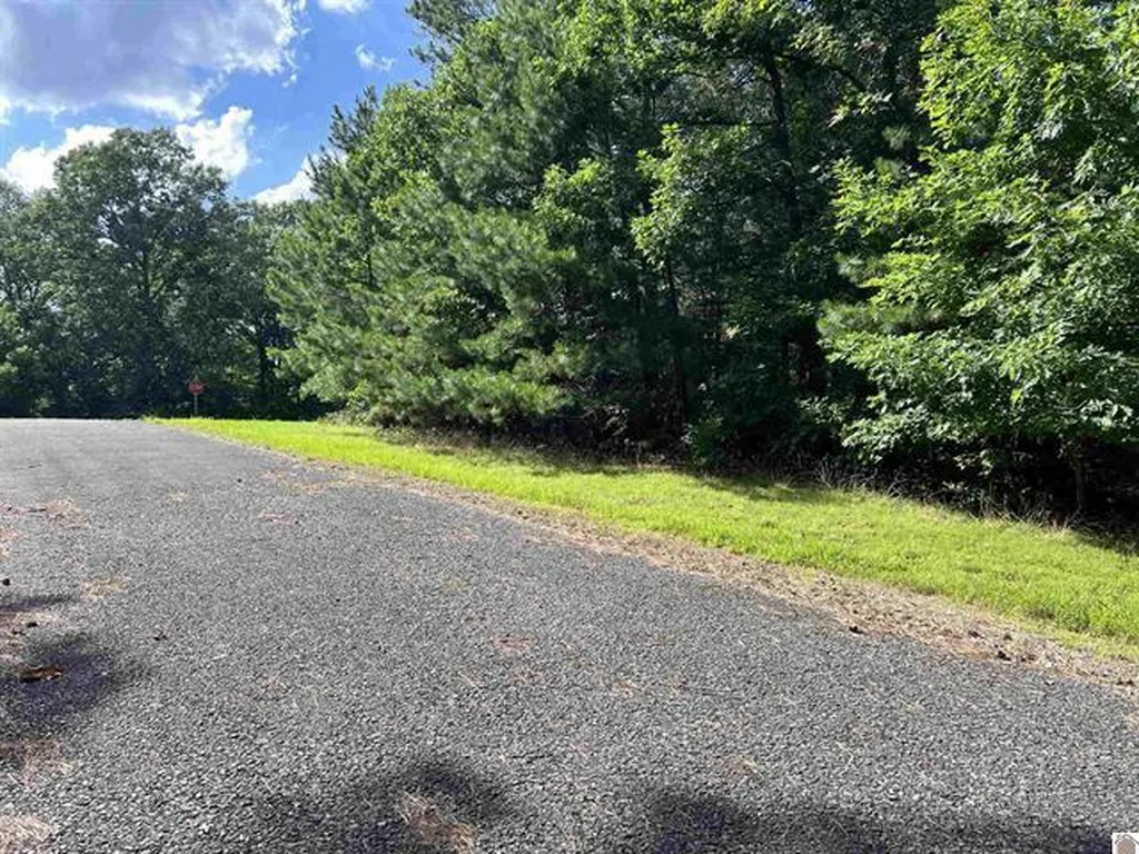 Unit 2 Lot 96 Briarfield Road Murray KY 42071