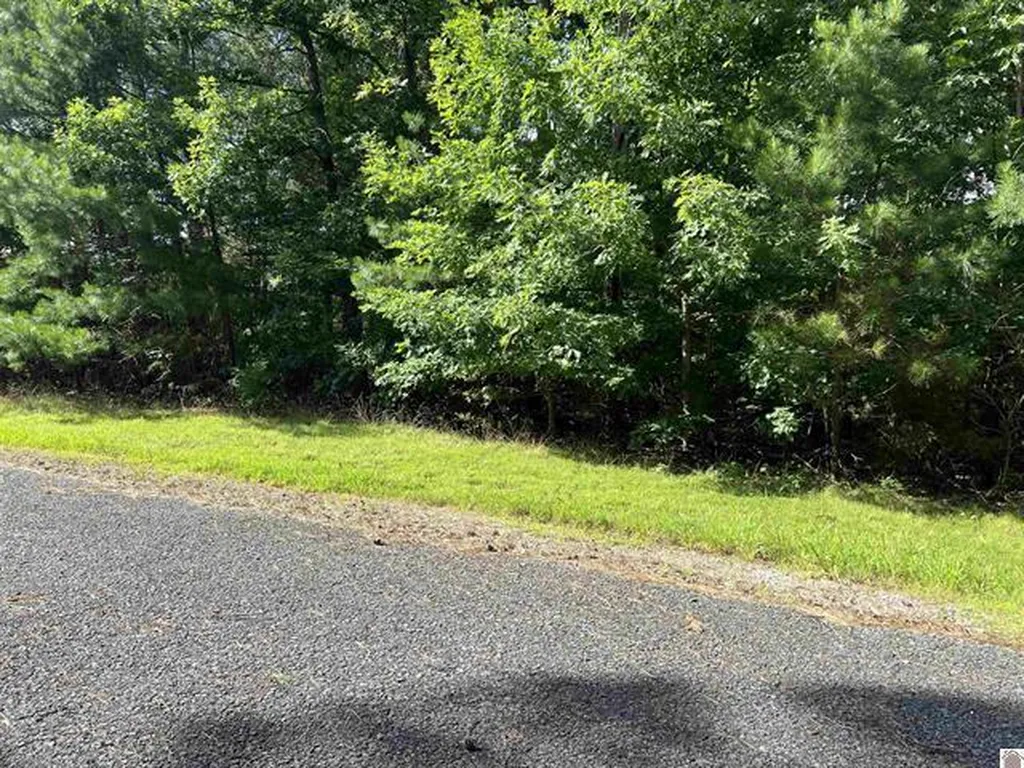 Unit 2 Lot 96 Briarfield Road Murray KY 42071