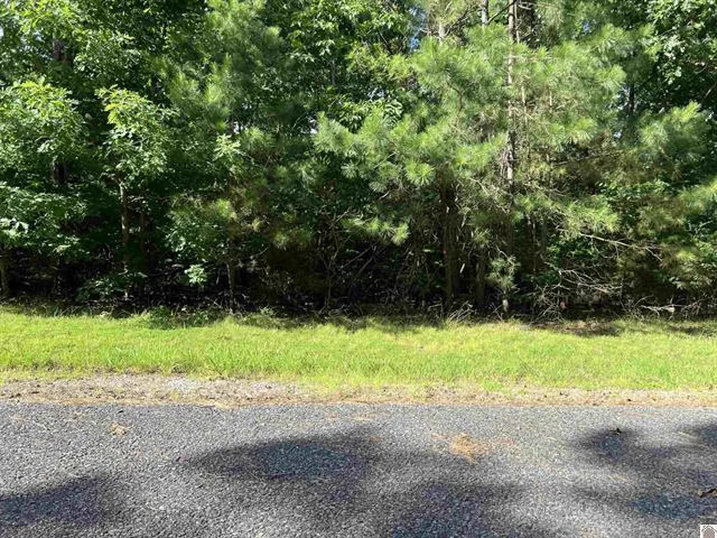 Unit 2 Lot 96 Briarfield Road Murray KY 42071
