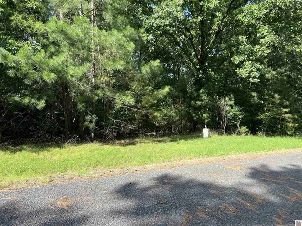 Unit 2 Lot 96 Briarfield Road Murray KY 42071