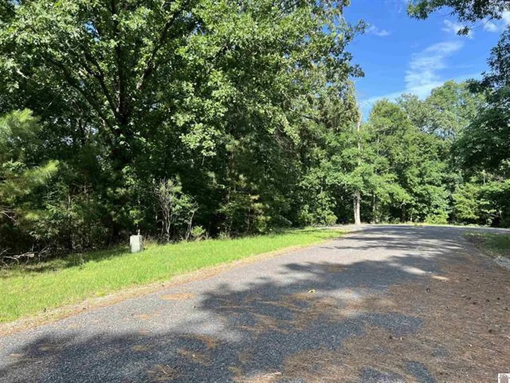 Unit 2 Lot 96 Briarfield Road Murray KY 42071