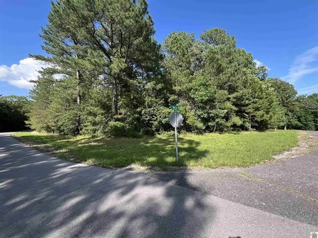 Unit 2 Lot 96 Briarfield Road Murray KY 42071