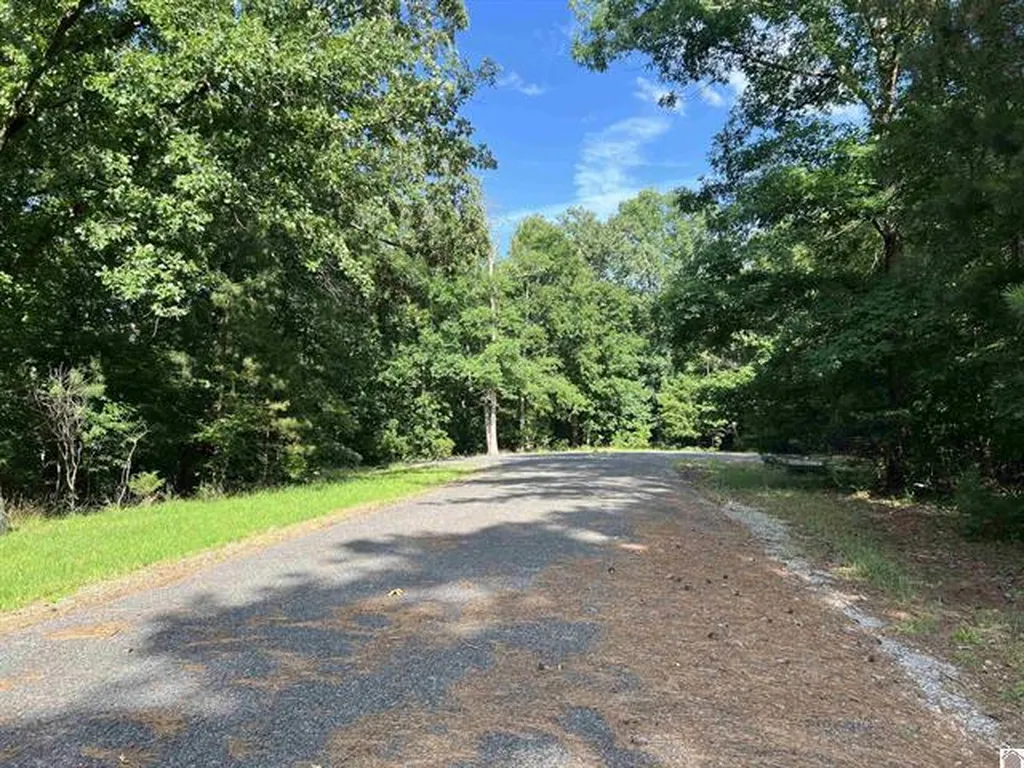 Unit 2 Lot 96 Briarfield Road Murray KY 42071