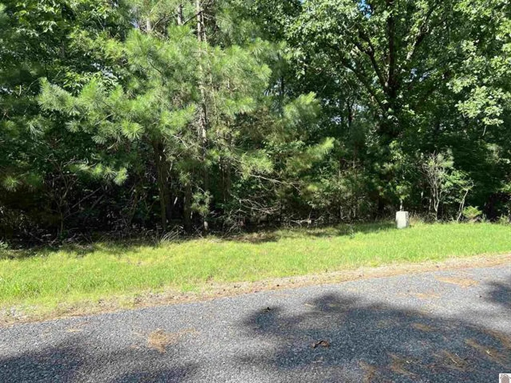 Unit 2 Lot 96 Briarfield Road Murray KY 42071