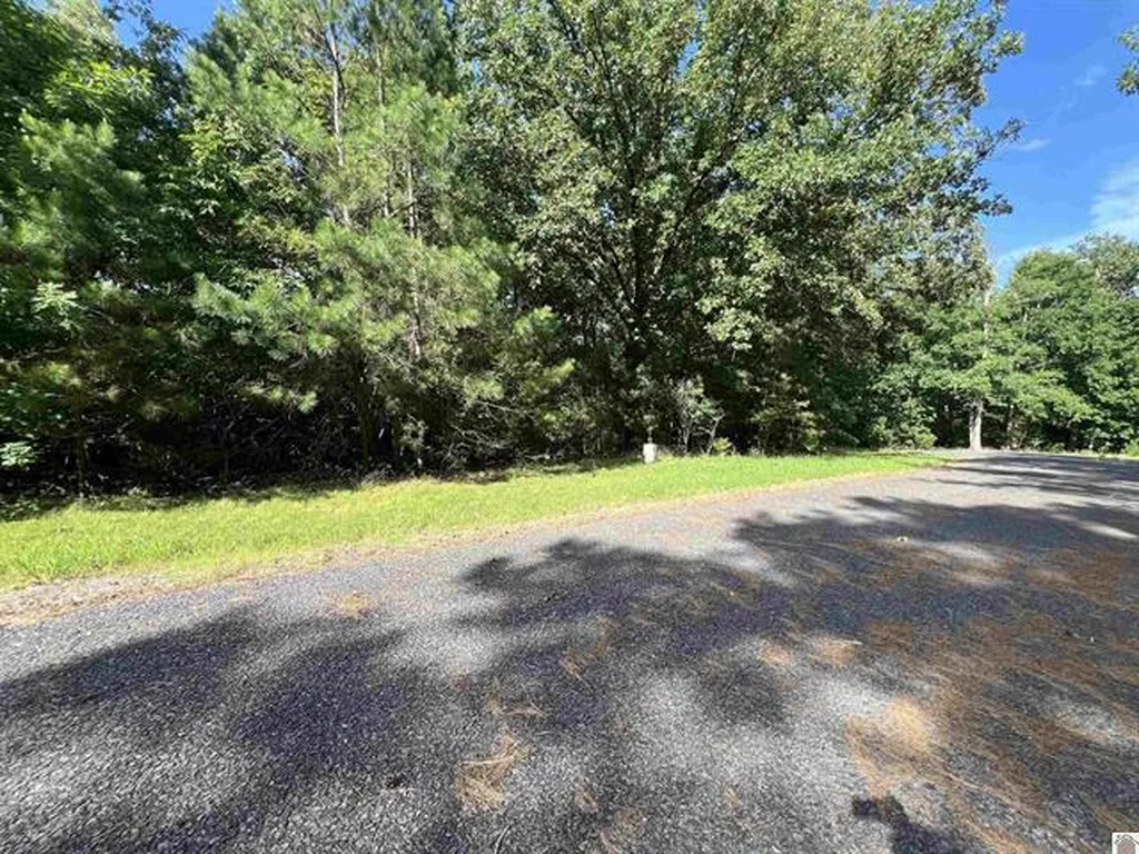Unit 2 Lot 96 Briarfield Road Murray KY 42071