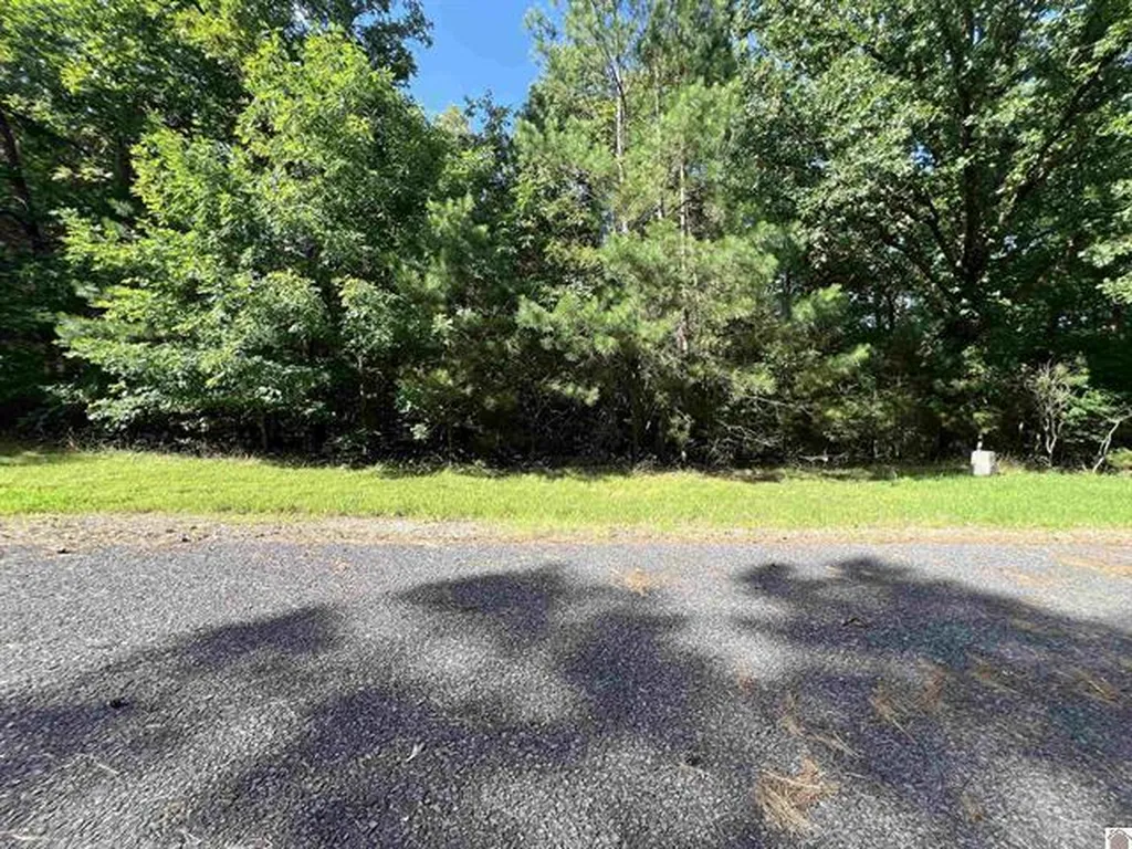 Unit 2 Lot 96 Briarfield Road Murray KY 42071