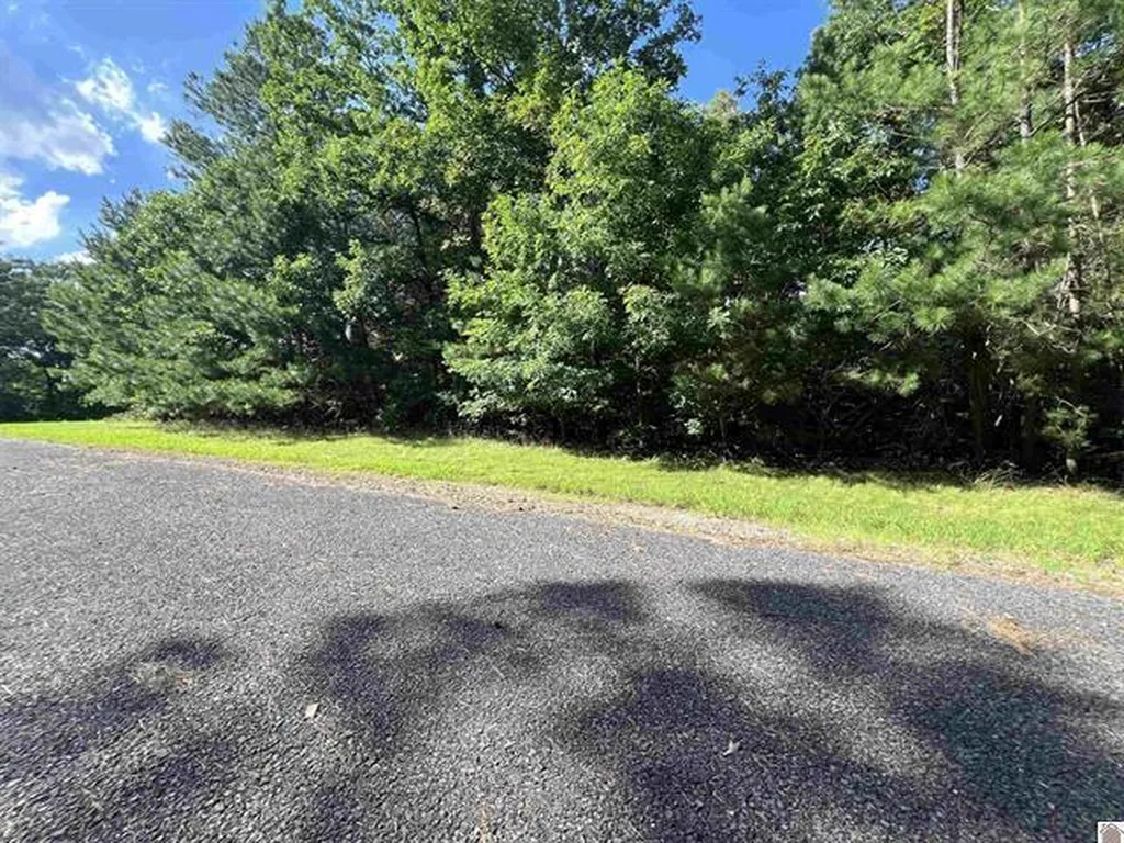 Unit 2 Lot 96 Briarfield Road Murray KY 42071