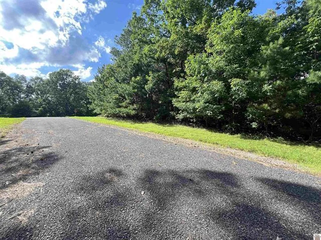 Unit 2 Lot 96 Briarfield Road Murray KY 42071