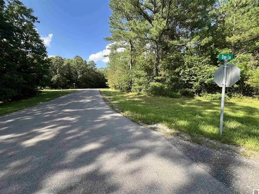 Unit 2 Lot 96 Briarfield Road Murray KY 42071