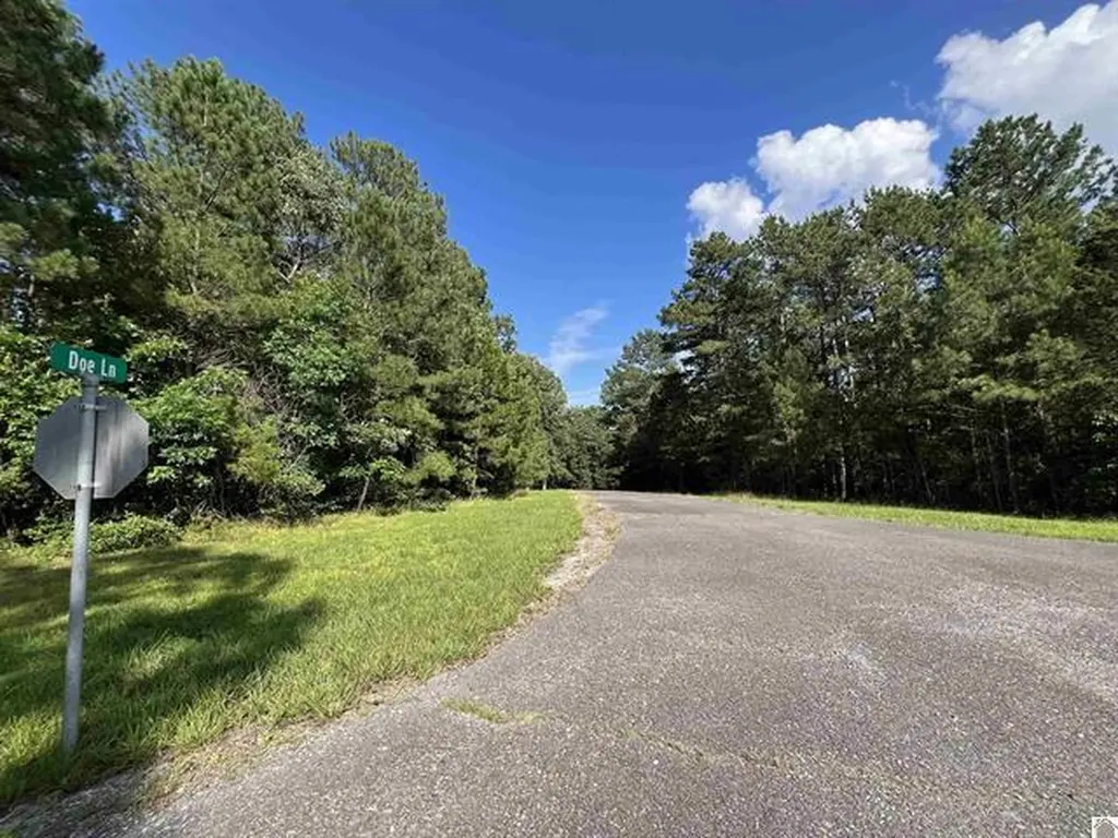 Unit 2 Lot 96 Briarfield Road Murray KY 42071