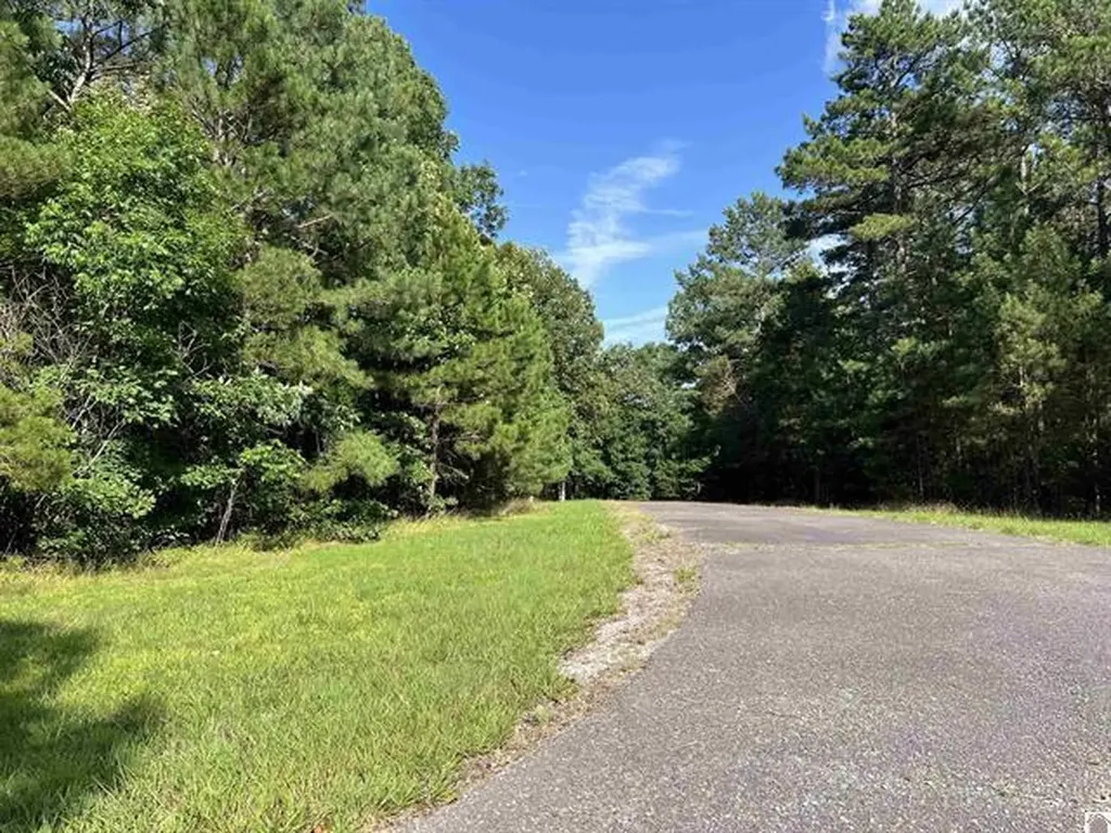 Unit 2 Lot 96 Briarfield Road Murray KY 42071