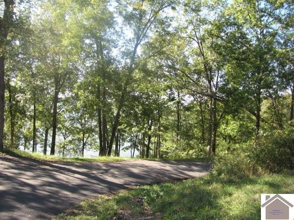 1776 Parkersville Road Eddyville KY 42038