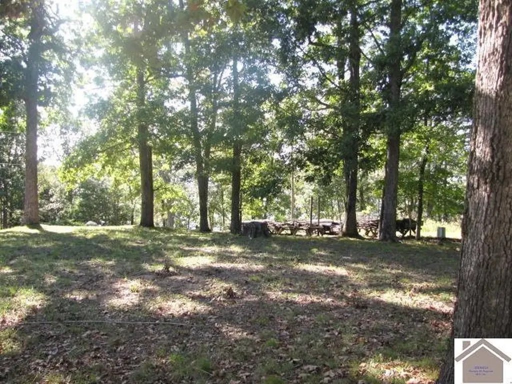 1776 Parkersville Road Eddyville KY 42038