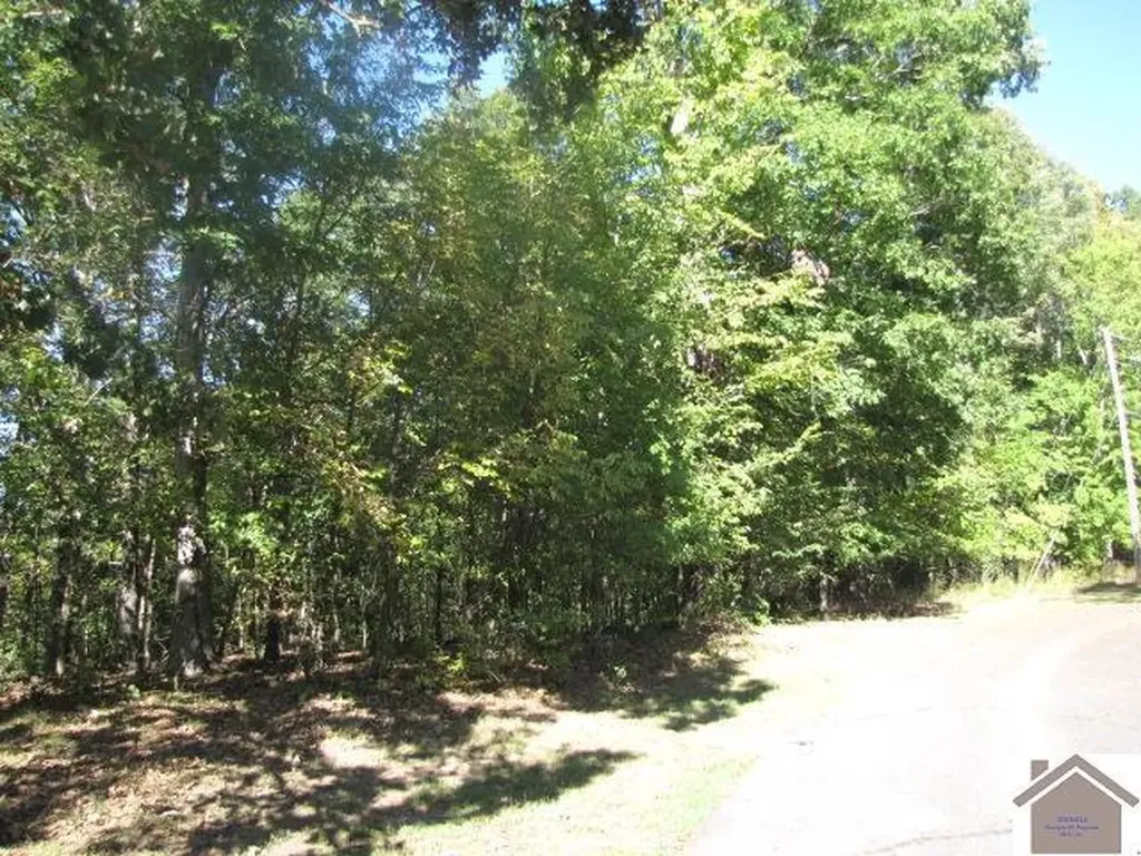 1776 Parkersville Road Eddyville KY 42038