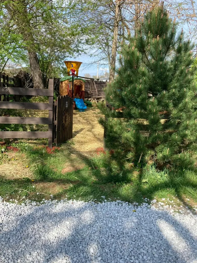 102 Davis Street Monticello KY 42633
