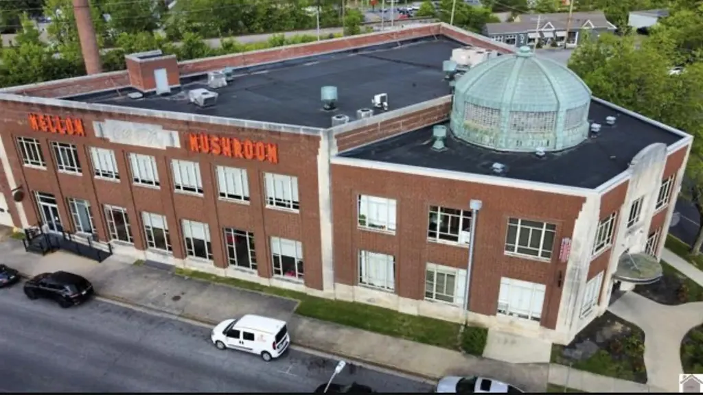 3121 Broadway Street Paducah KY 42001