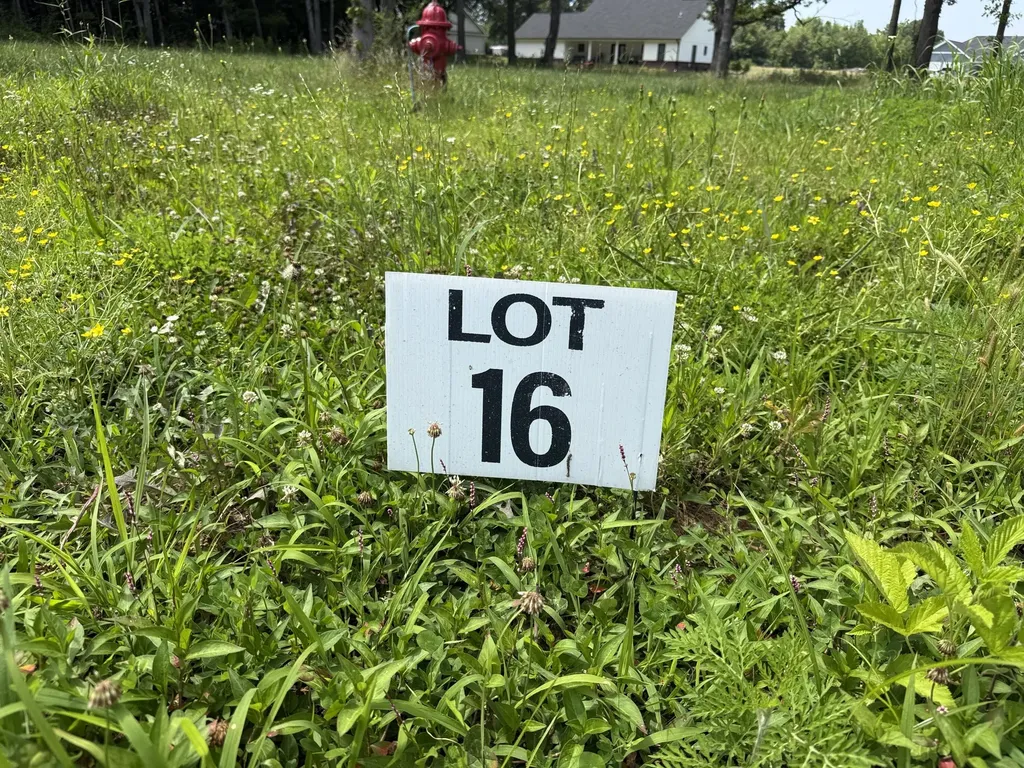 99 Ellie Court Mayfield KY 42066