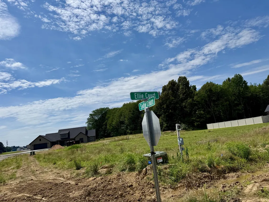 99 Ellie Court Mayfield KY 42066