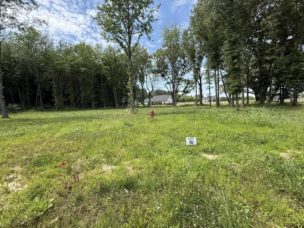 99 Ellie Court Mayfield KY 42066