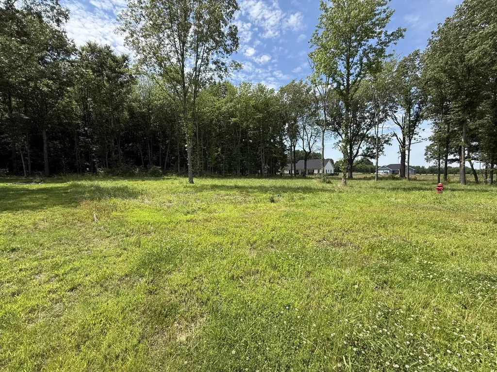 99 Ellie Court Mayfield KY 42066
