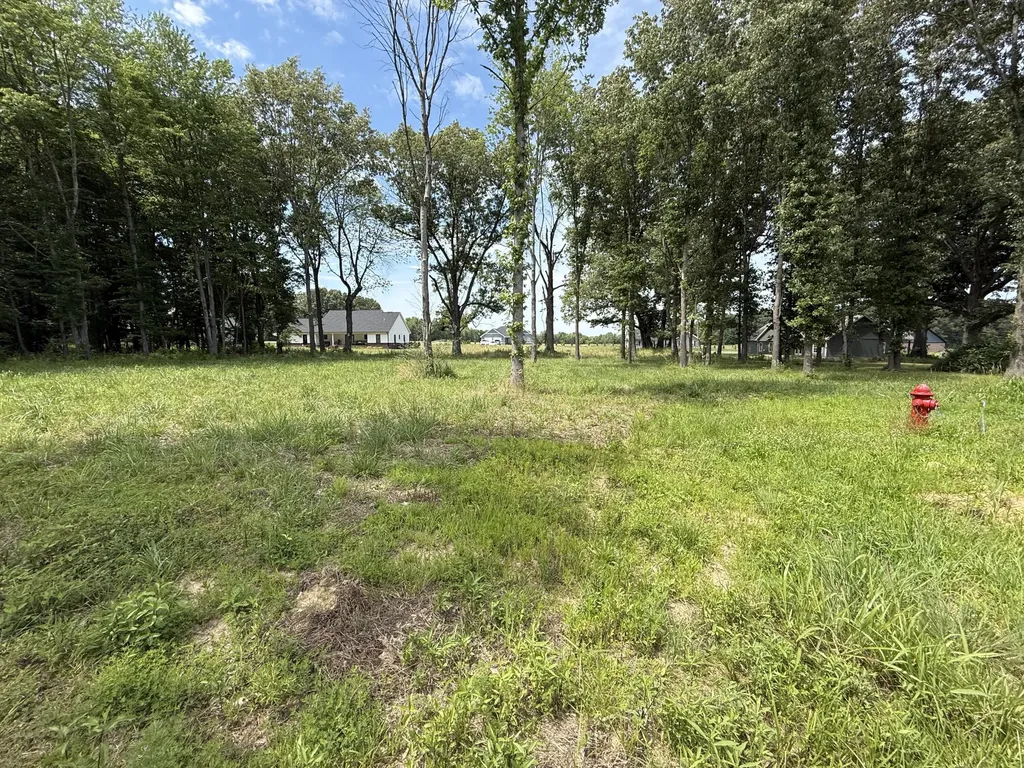 99 Ellie Court Mayfield KY 42066