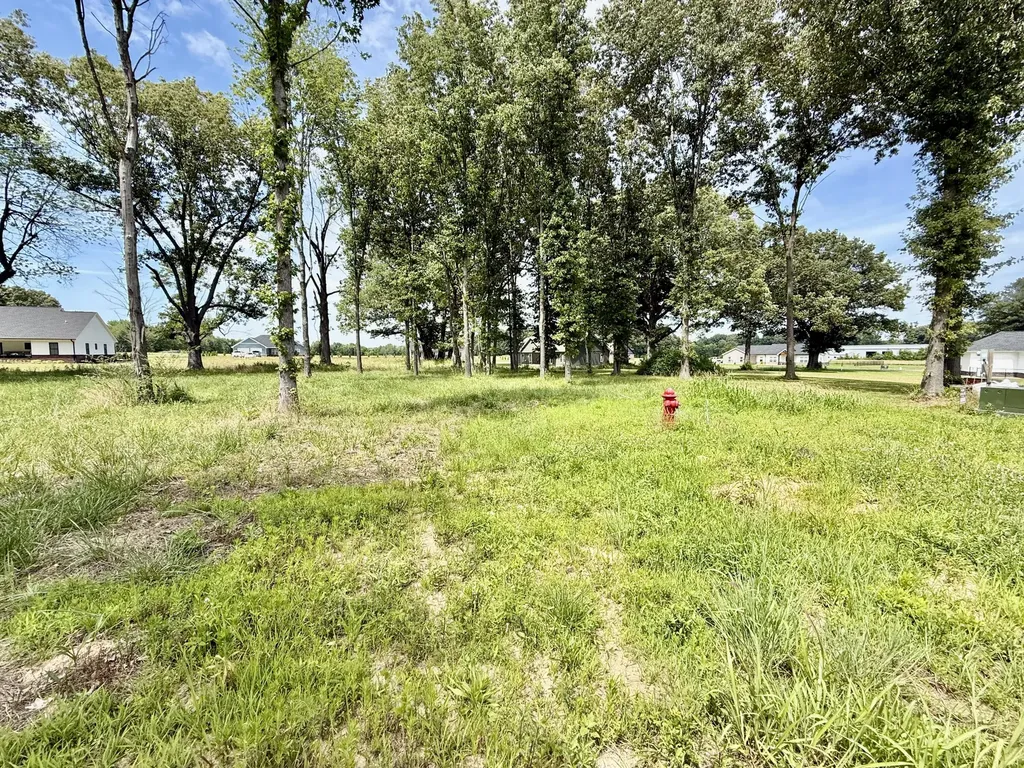 99 Ellie Court Mayfield KY 42066