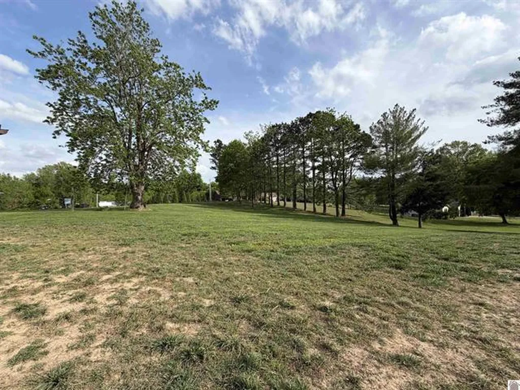 51 Lake Scene Drive Eddyville KY 42038
