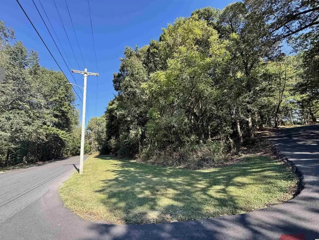 2.3 Acres Golf Cart Drive Mayfield KY 42066