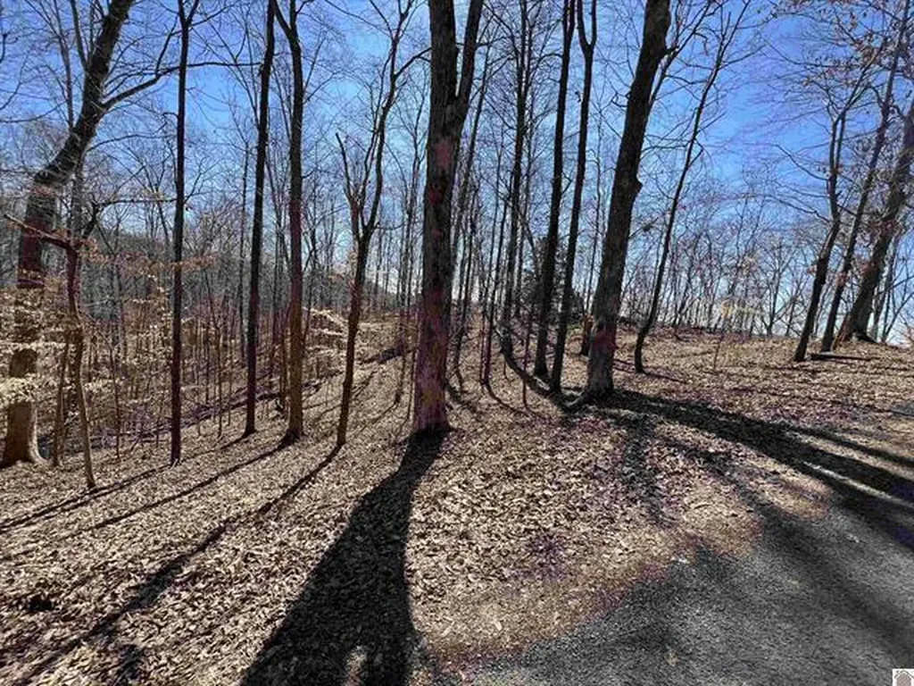 Tract 4 Oak Ridge Road Cadiz KY 42211