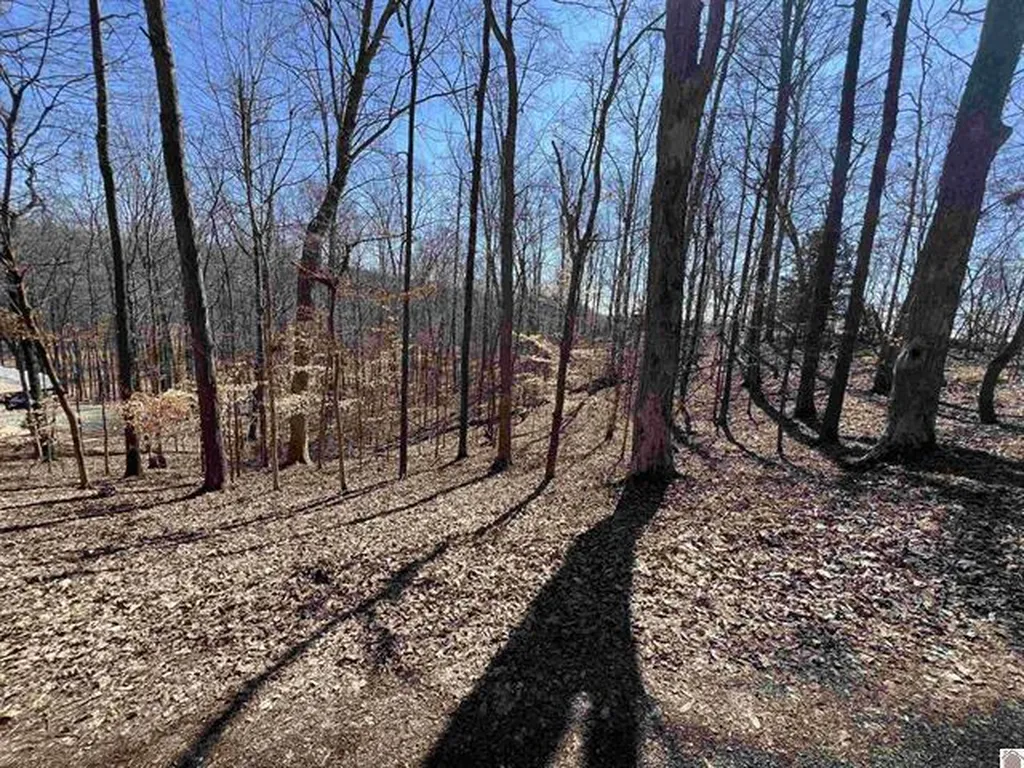 Tract 4 Oak Ridge Road Cadiz KY 42211