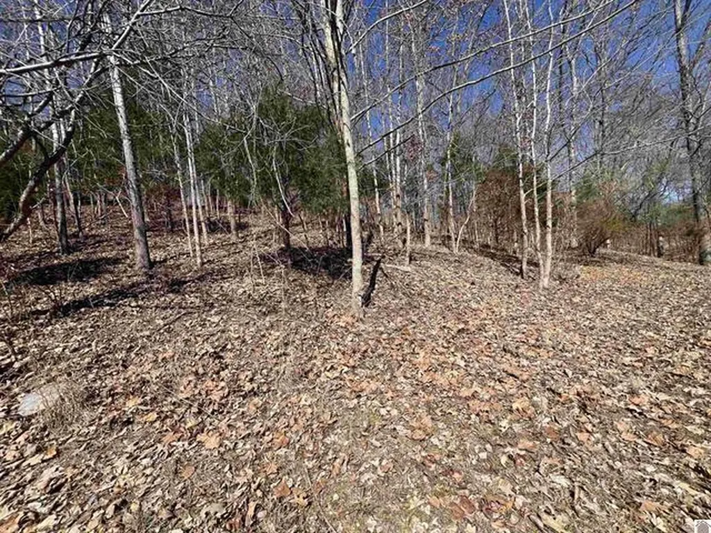 Tract 4 Oak Ridge Road Cadiz KY 42211