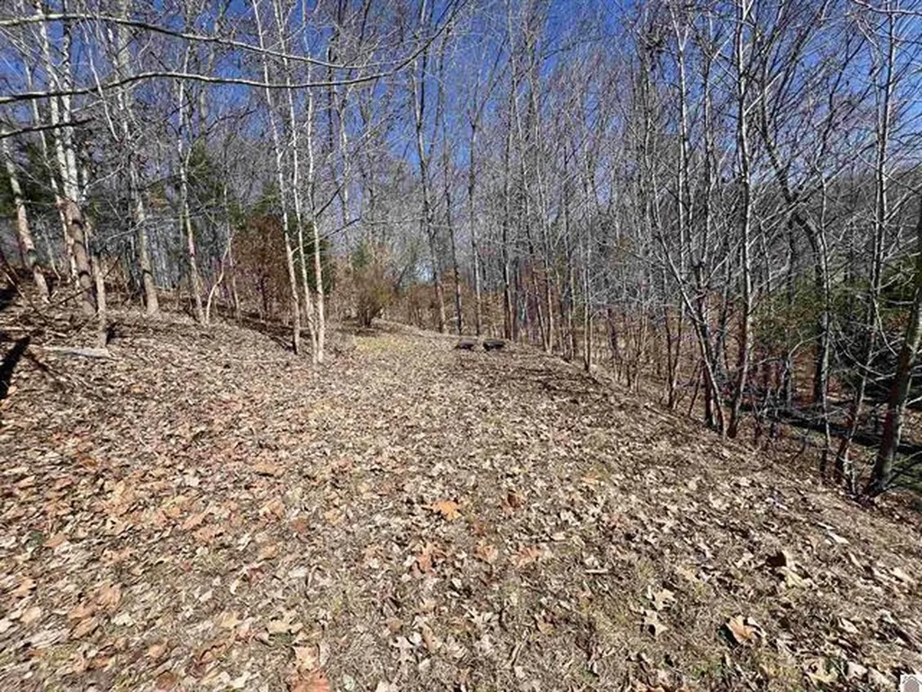 Tract 4 Oak Ridge Road Cadiz KY 42211