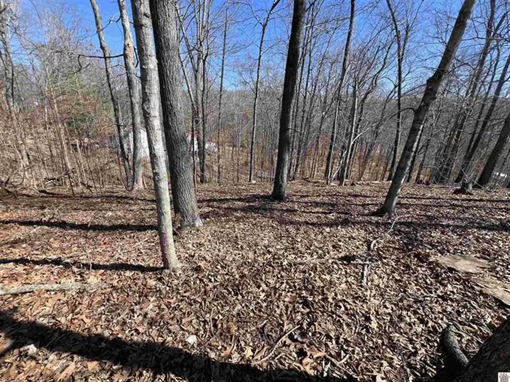 Tract 4 Oak Ridge Road Cadiz KY 42211