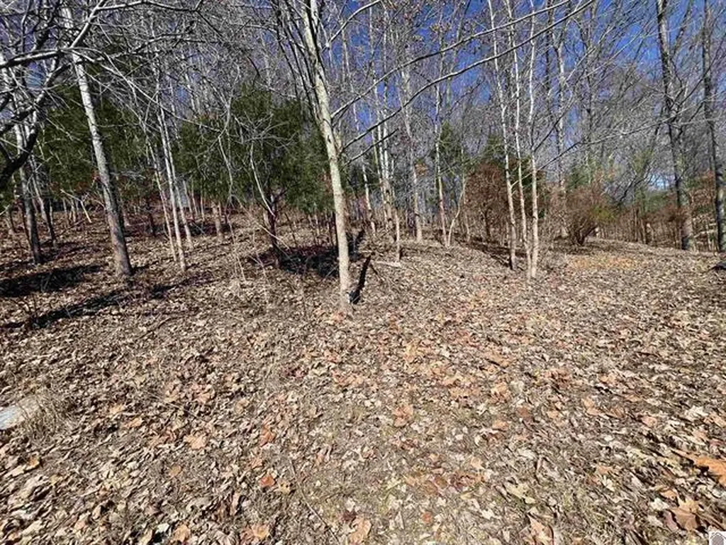 Tract 4 Oak Ridge Road Cadiz KY 42211