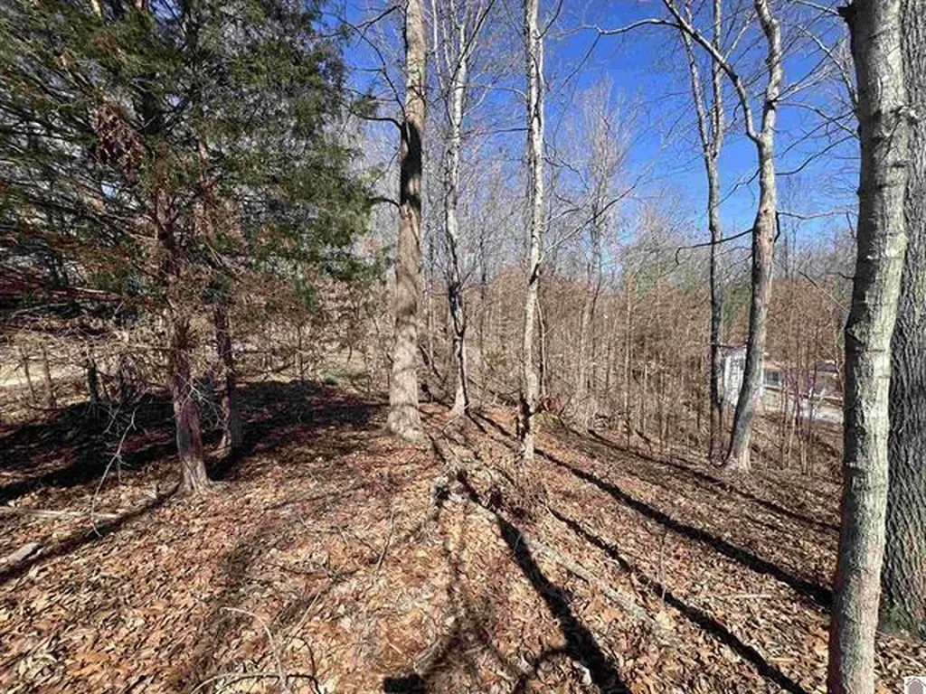 Tract 4 Oak Ridge Road Cadiz KY 42211