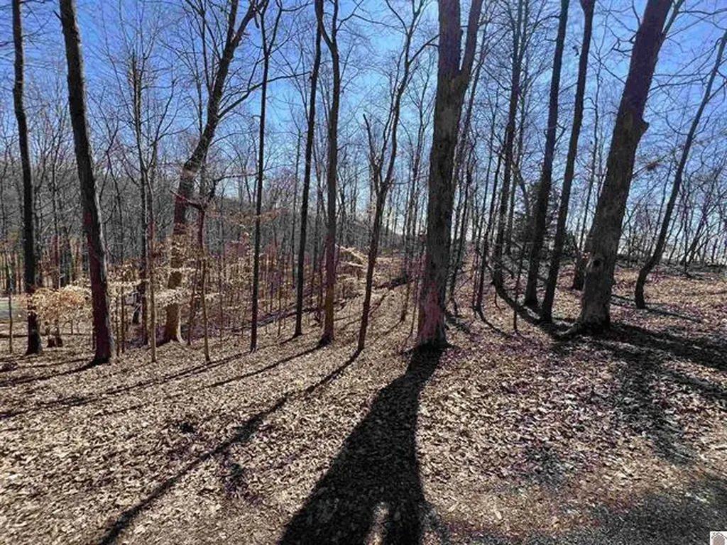 Tract 4 Oak Ridge Road Cadiz KY 42211