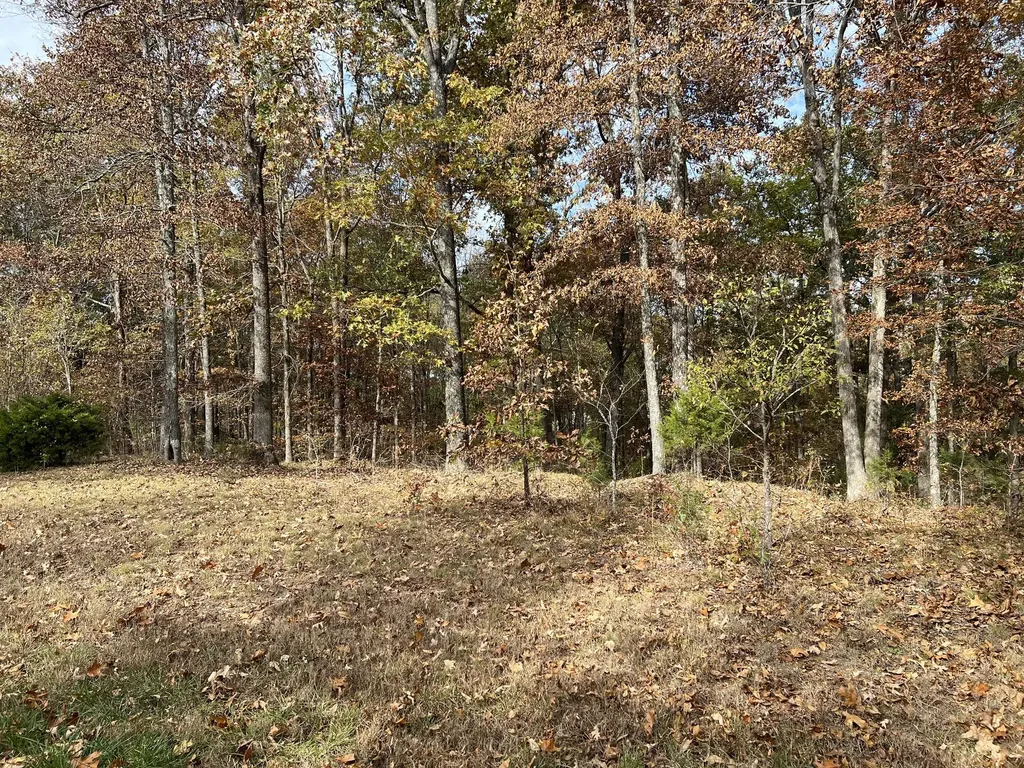 Lot 24 Haynes Cemetery Road Murray KY 42071