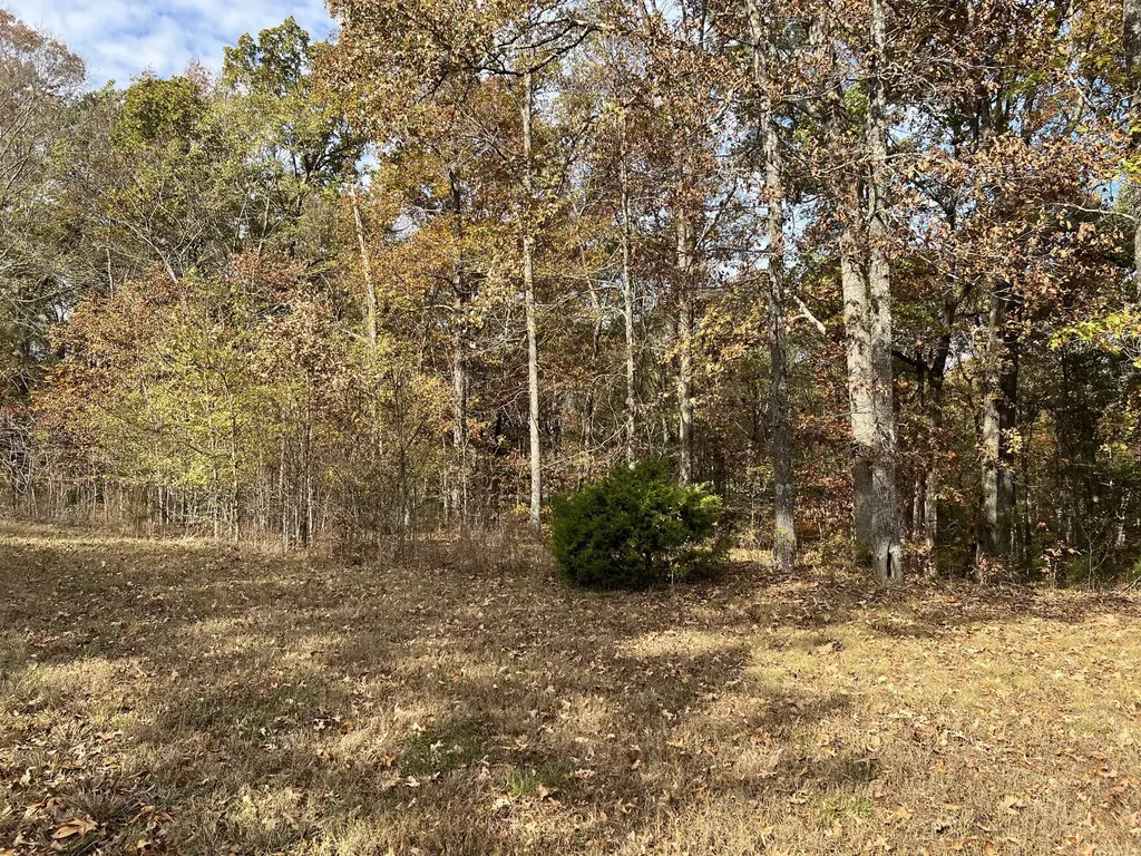 Lot 24 Haynes Cemetery Road Murray KY 42071