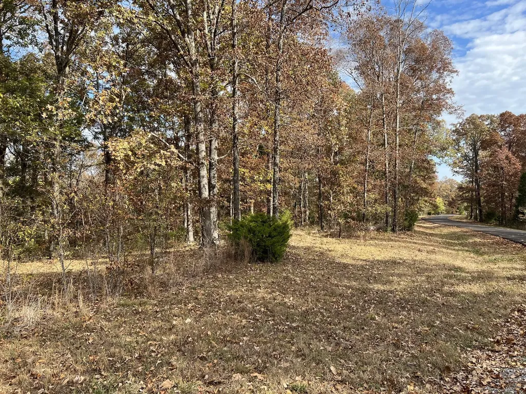 Lot 24 Haynes Cemetery Road Murray KY 42071