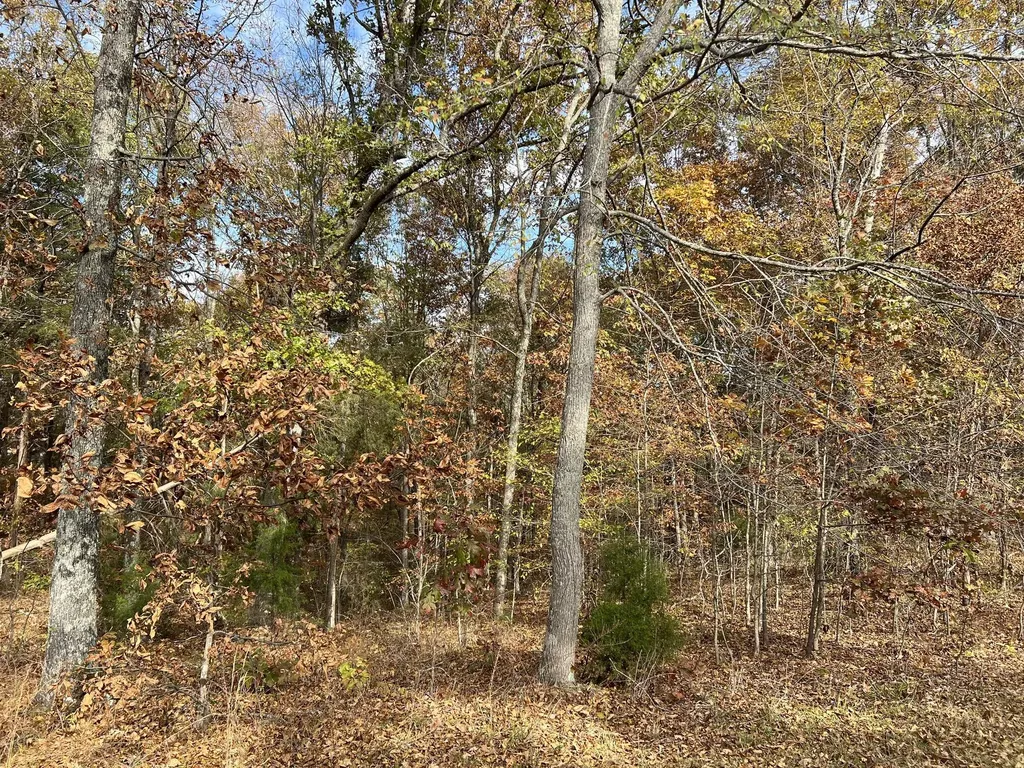 Lot 24 Haynes Cemetery Road Murray KY 42071