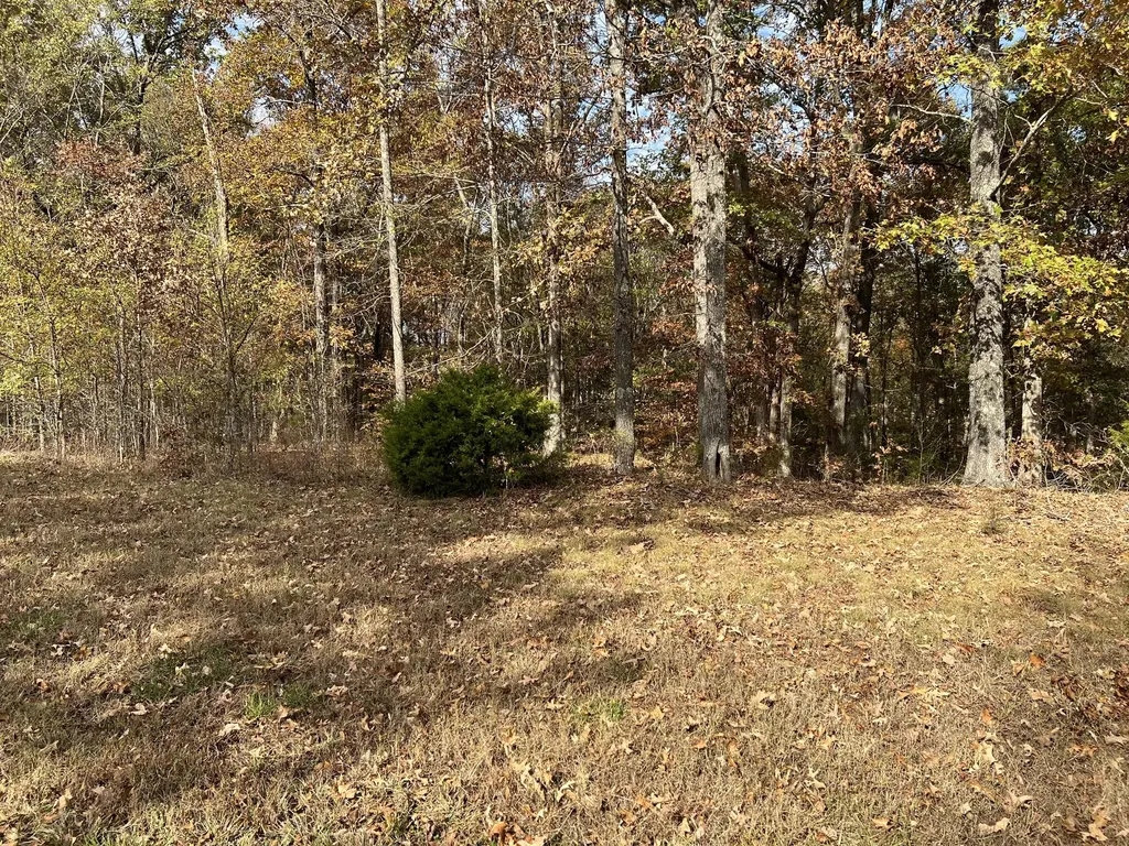 Lot 24 Haynes Cemetery Road Murray KY 42071