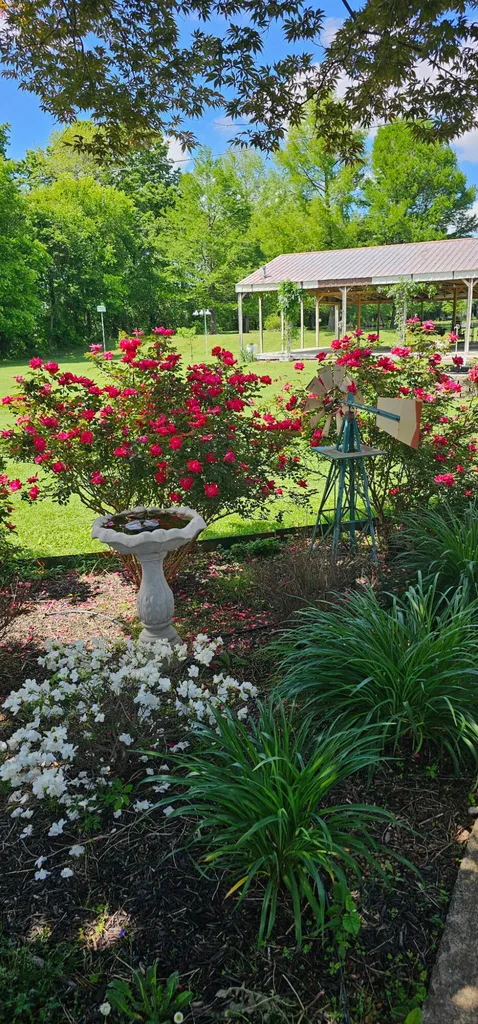 4564 Ky-121 Murray KY 42071