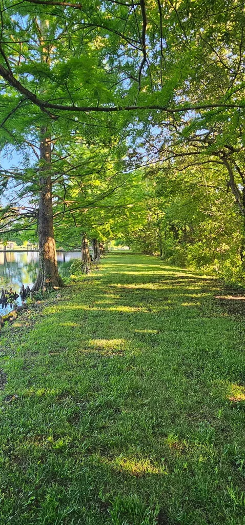 4564 Ky-121 Murray KY 42071