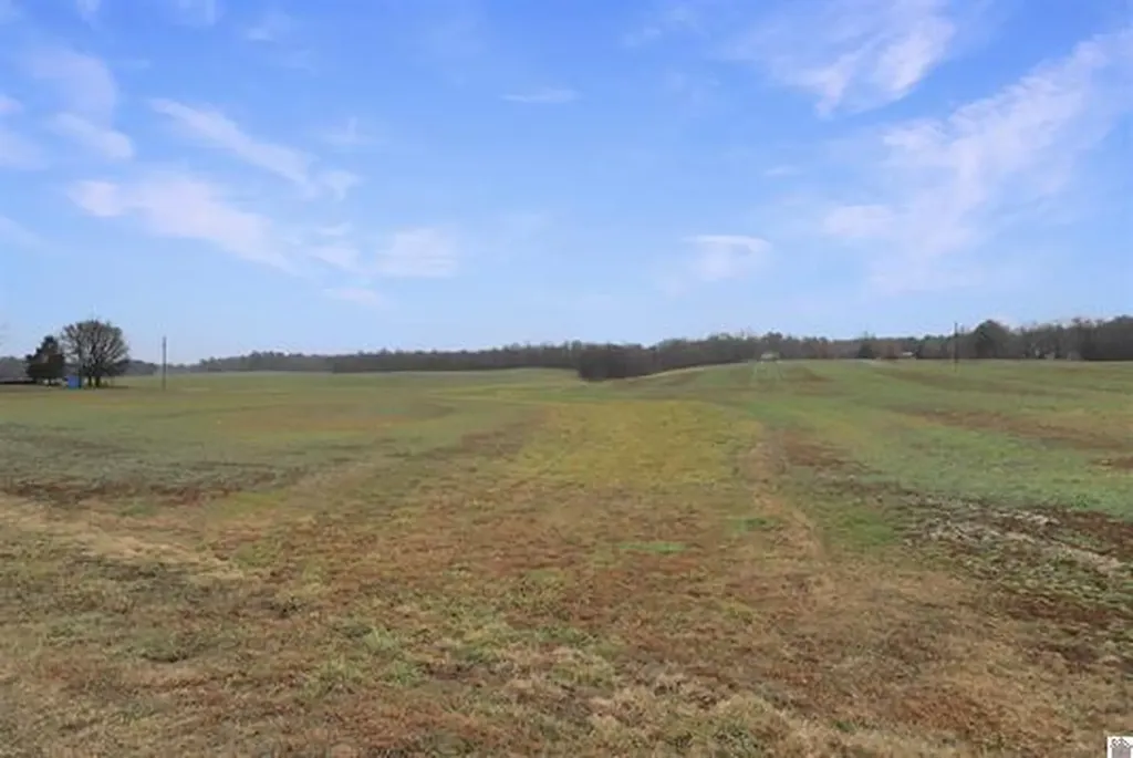 0 Atkins Trail Hazel KY 42049