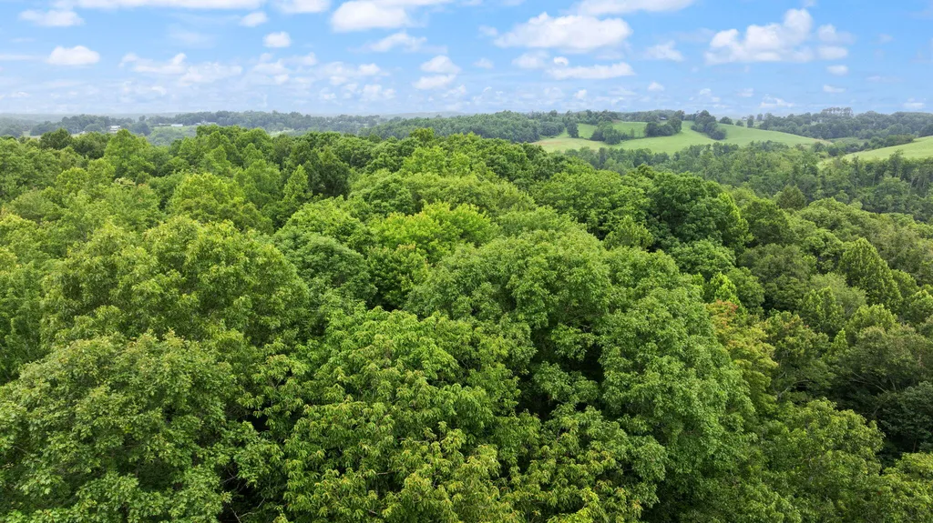 0000 0000 Mathis Road Mckee KY 40447