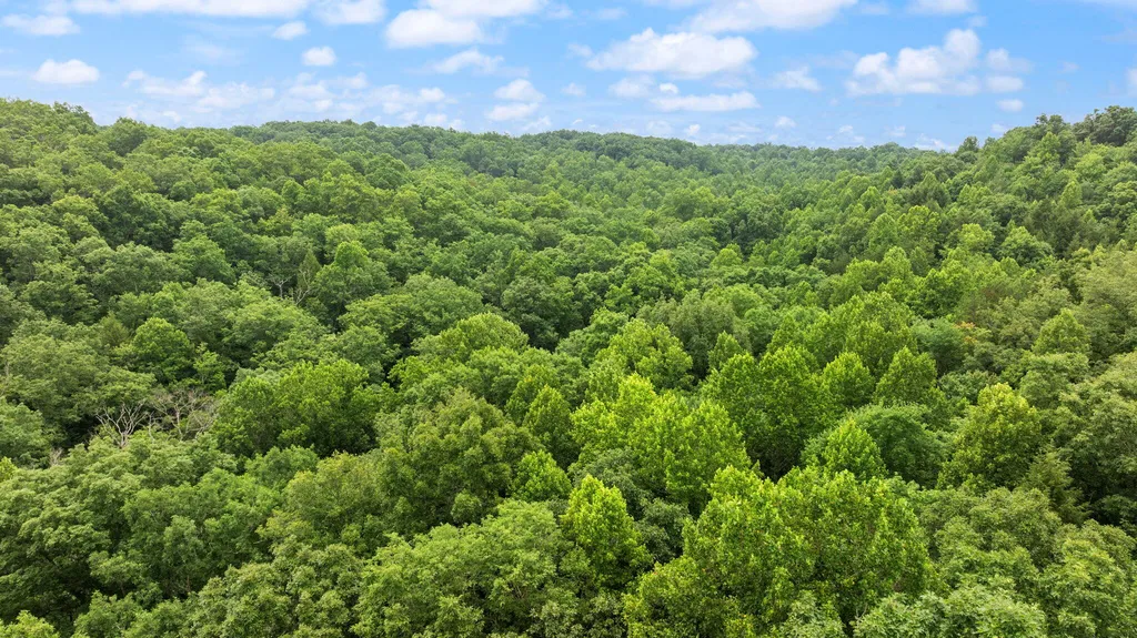 0000 0000 Mathis Road Mckee KY 40447
