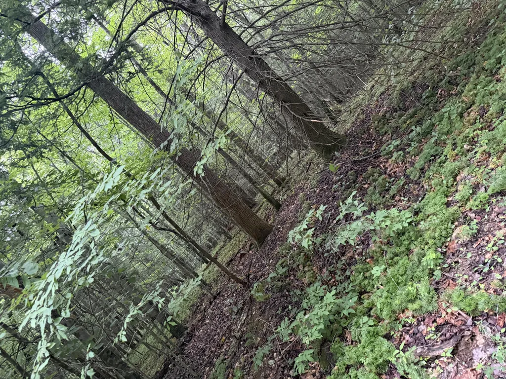 0000 0000 Mathis Road Mckee KY 40447