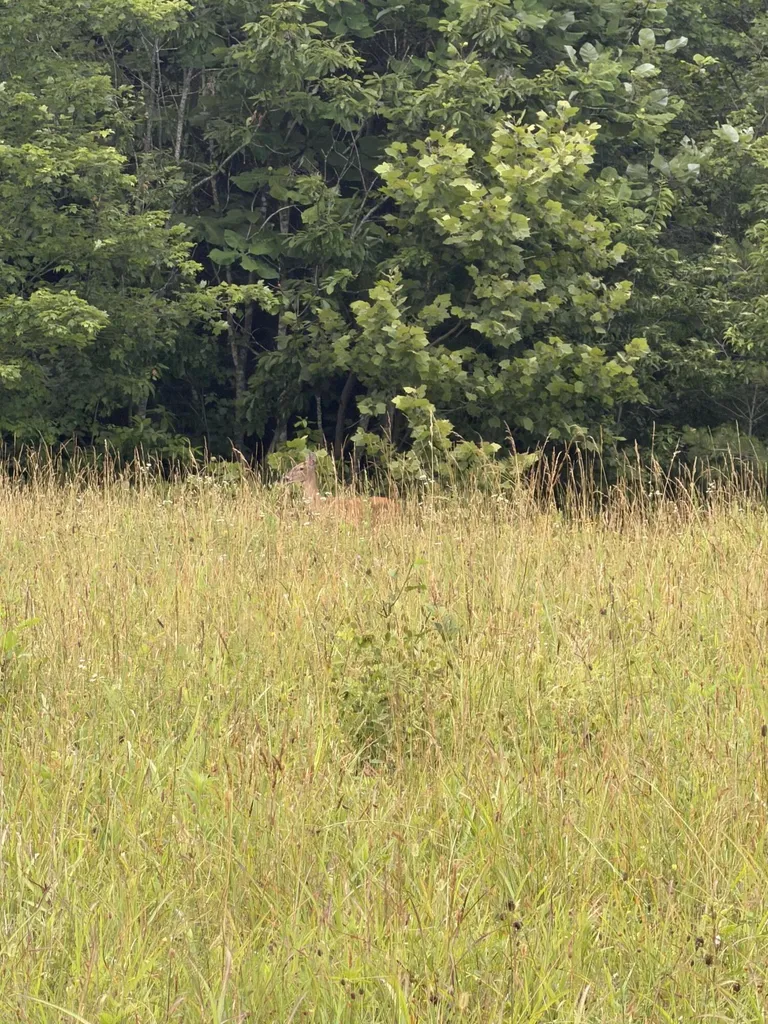0000 0000 Mathis Road Mckee KY 40447
