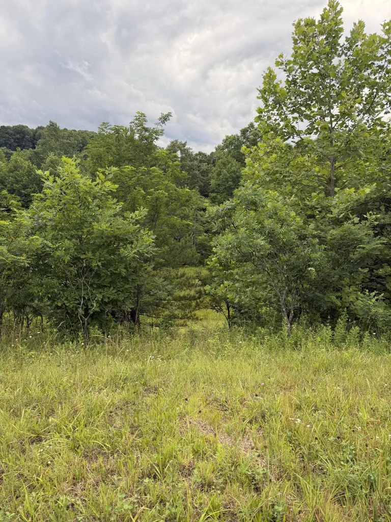 0000 0000 Mathis Road Mckee KY 40447
